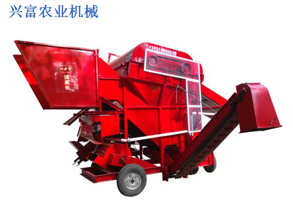 花生的，营养的